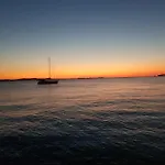 Lisica