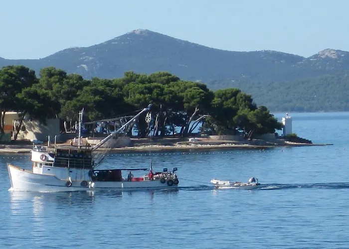 Lisica 3*
