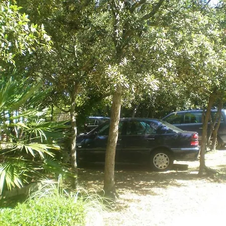 Guest house Lisica 3*