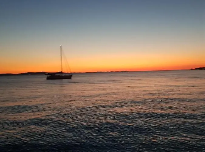 Lisica